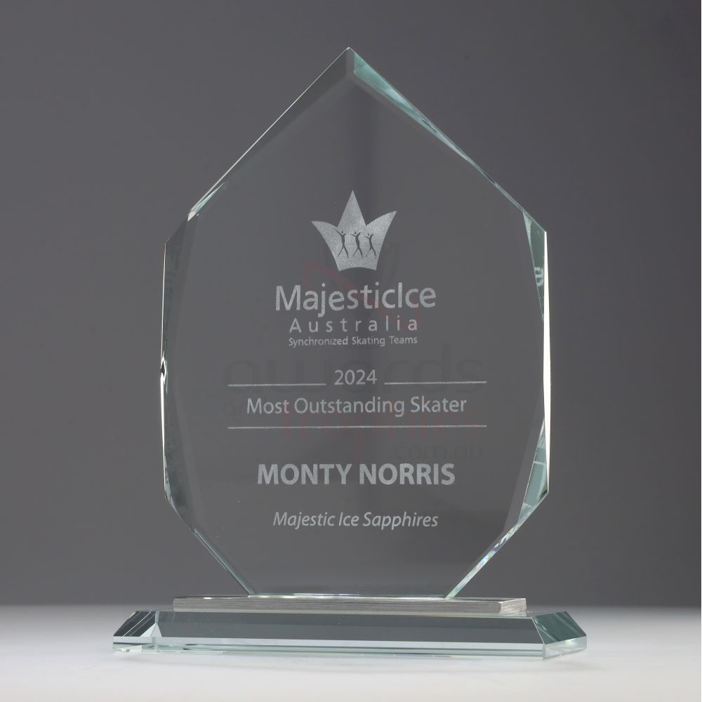 Integrity Glass Arrowhead 180mm