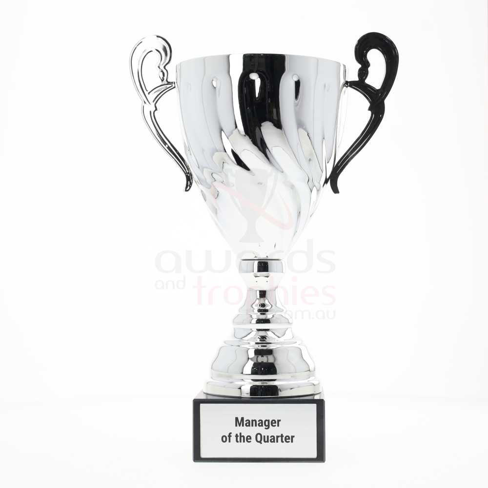 Fidelity Cup Silver 370mm