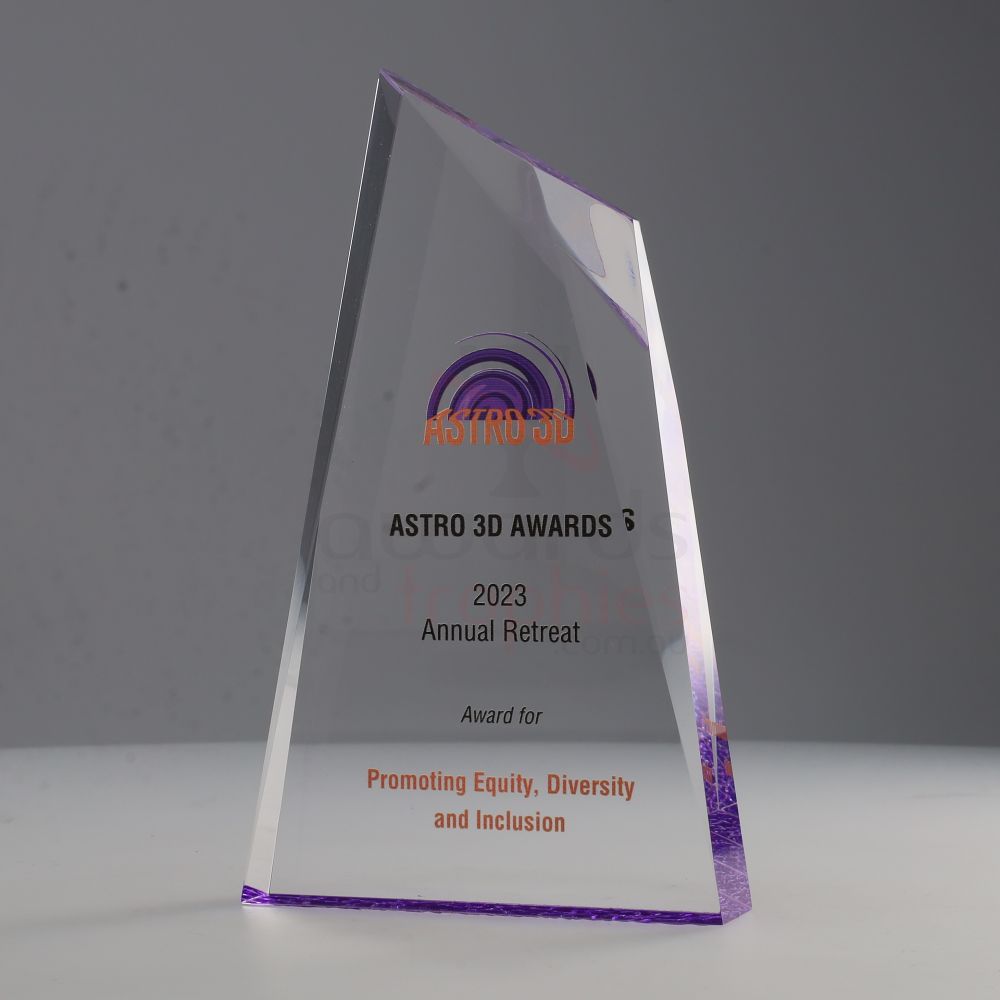 Purple Acrylic Charger 175mm