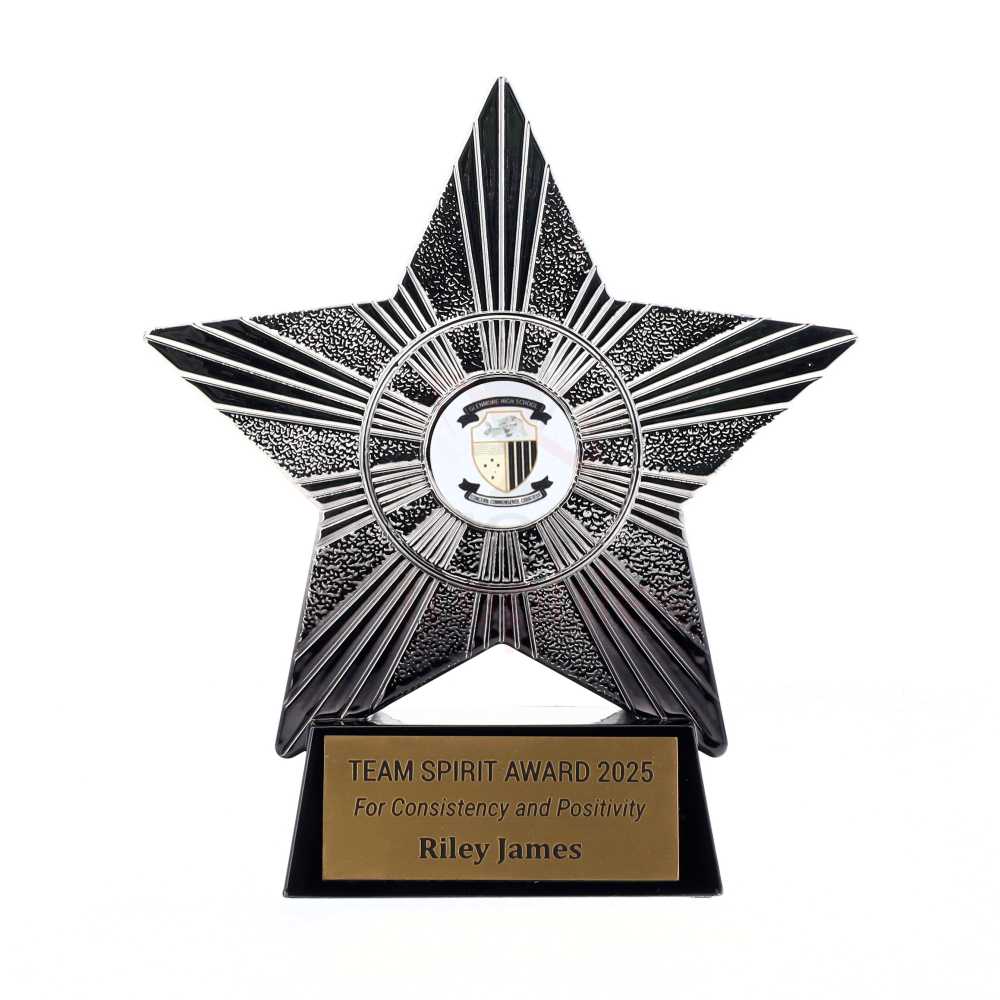 Gradient Star 110mm - Silver/Black