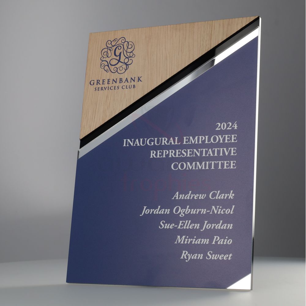 Optic Plaque Medium - Custom
