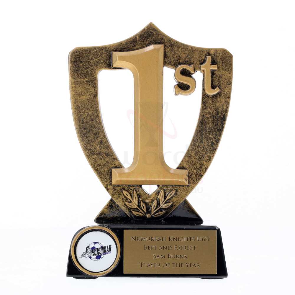 1st Place Shield 160mm
