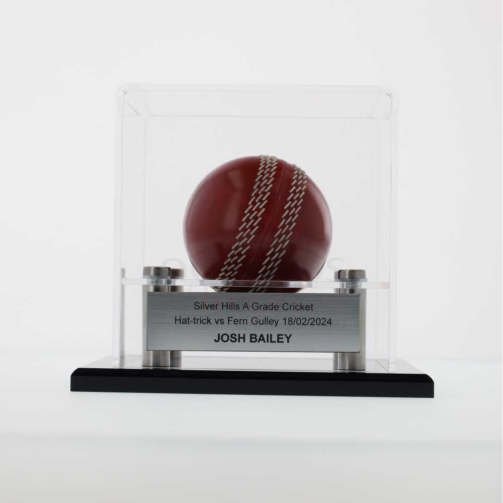 Cricket Ball Display Case